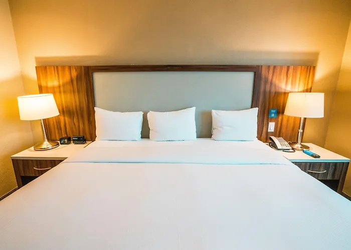 Hotel Hilton Airport